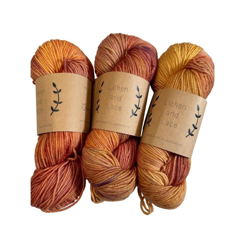 New Lichen and Lace Superwash Merino Worsted 3 Skeins Orange Yarn Kit + Pattern